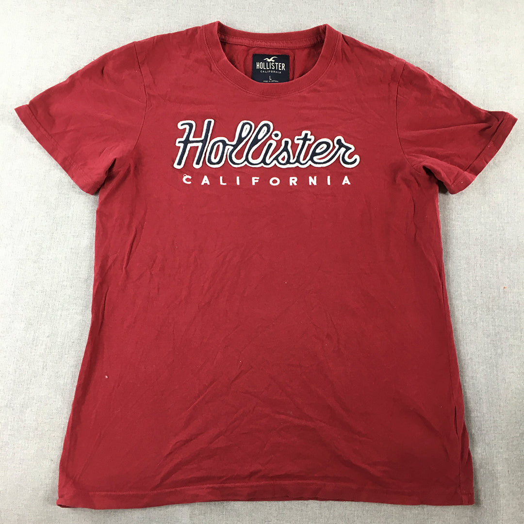 tシャツサイズl hollister