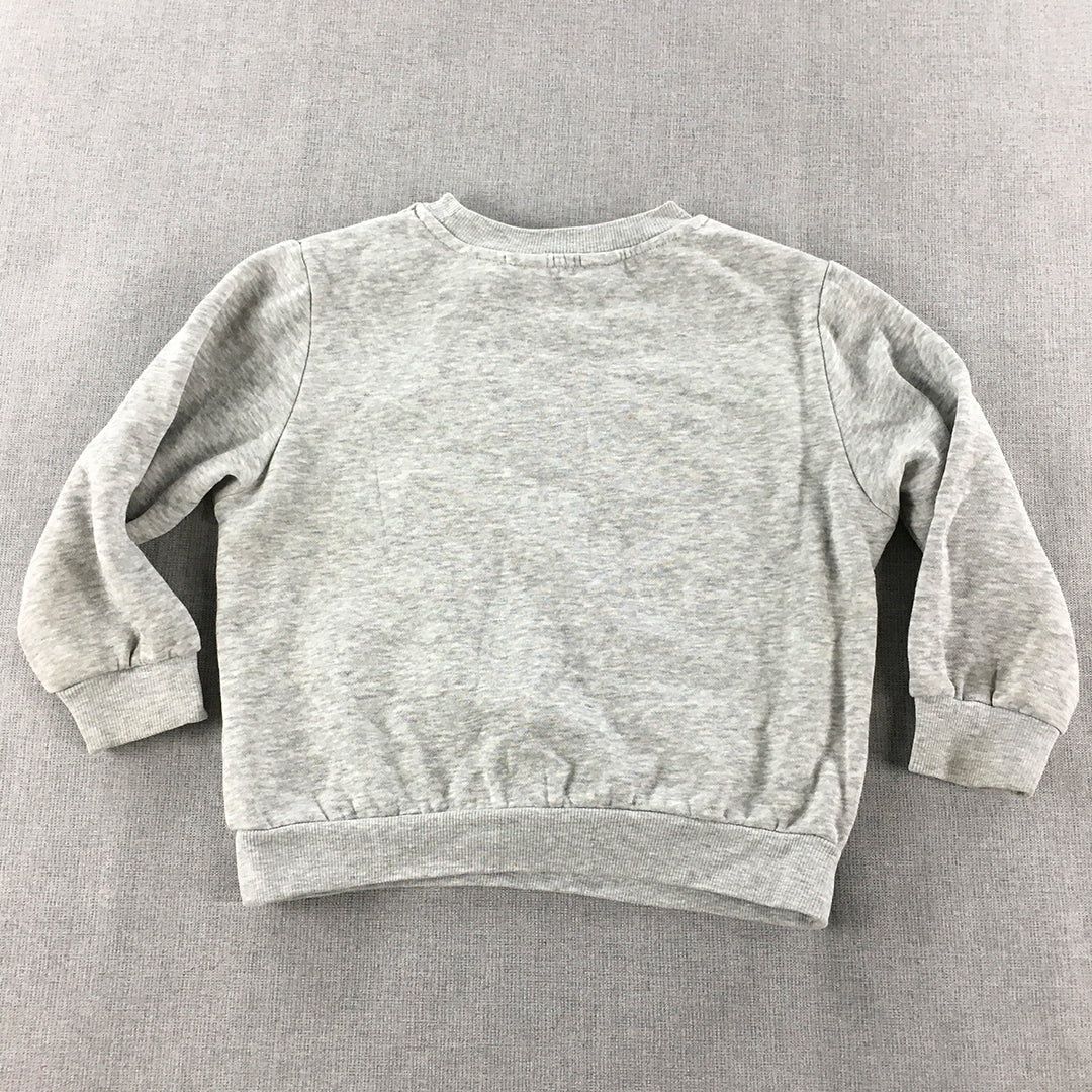 Paw Patrol Kids Girls Sweater Size 3 - 4 Years Grey H&M Crew Neck Jumper