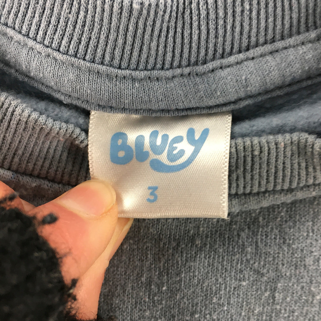 Bluey Kids Sweater Size 3 Toddler Blue Crew Neck Jumper