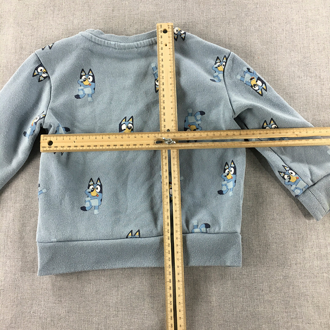 Bluey Kids Sweater Size 3 Toddler Blue Crew Neck Jumper